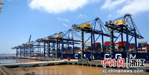 宁波海关 港外集港 抵港直装 助危险货物出口